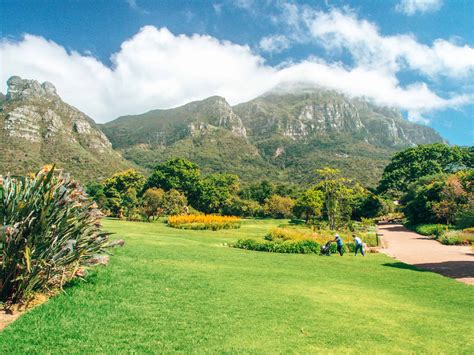 Kirstenbosch Botanischer Garten Bilder 